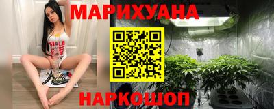 гидропоника Сланцы