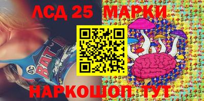 гидропоника Сланцы