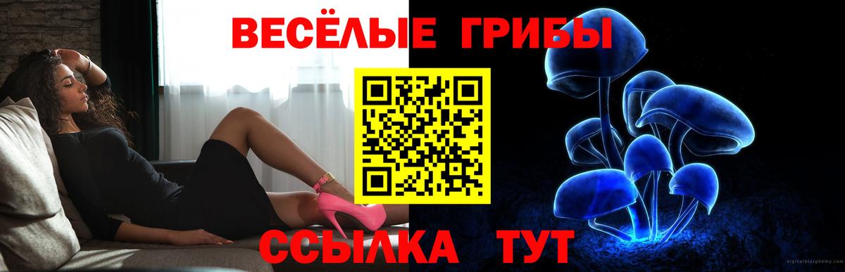 Ногинск  Галлюциногенные грибы Psilocybine cubensis  Вход с VPN 